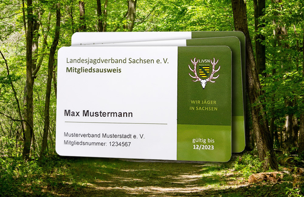 Landesjagdverband Sachsen Mitgliedsausweis, Ausweis und Hintergrund Bild vom Wald